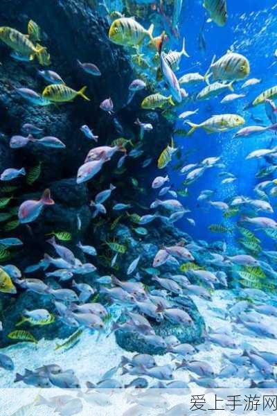 深海巨腹鱼群:探索深海巨腹鱼群的神秘生态与生存策略
