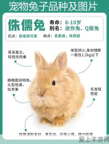 同桌两个大兔子在衬衫里抖来抖去:同桌的两个大兔子在衬衫里欢快跳跃,热闹非凡!