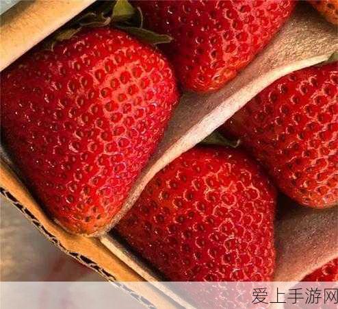 草莓视频完整版在线观看:完整观看草莓视频的全新精彩体验,尽在这里!
