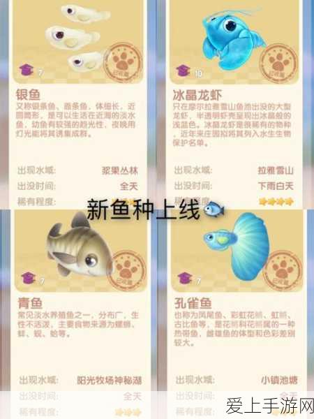 伊洛纳，贝壳公主罗莎强度深度剖析与顶级装备搭配指南