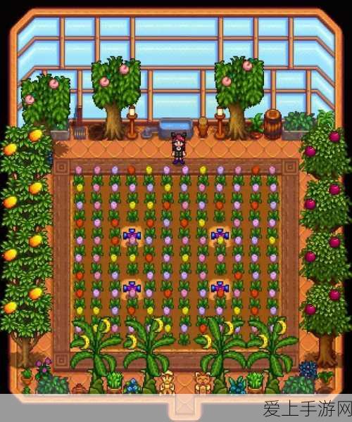星露谷物语switch更新:星露谷物语:Switch版全新扩展内容大揭秘