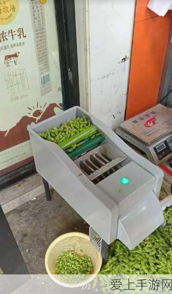 毛豆免费卡密:获取毛豆免费卡密的最佳途径与技巧分享