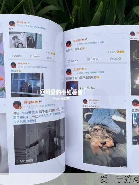 坤坤插进蜜桃里:坤坤与蜜桃的奇妙冒险:甜蜜与欢笑交织的故事