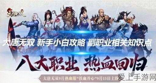 大唐无双手游深度解析，新手必看！武将系统全攻略