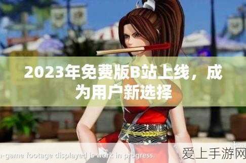 2023b站免费推广:2023年B站免费推广新策略揭秘与实用技巧分享