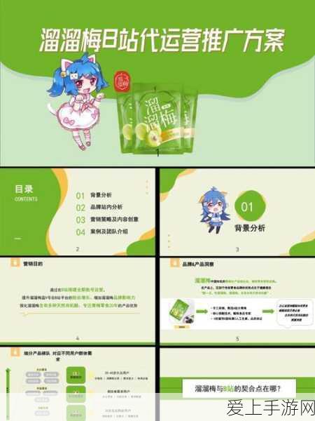 b站黄页推广2023:2023年B站黄页推广新策略与实践分享
