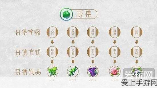 梦幻西游手游,青莲仙女顶级搭配秘籍与详尽属性解析