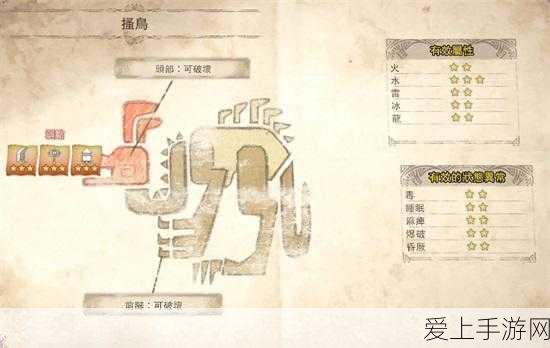 怪物猎人X深度攻略,全面剖析怪物弱点一览