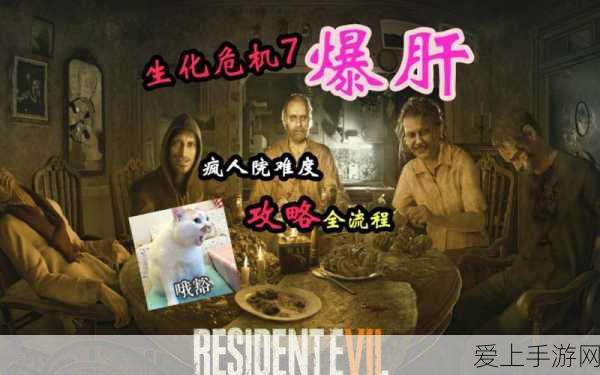 生化危机7全解锁道具达成攻略,揭秘隐藏物品获取秘籍