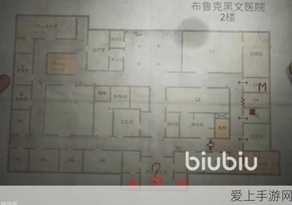 闪耀暖暖新手进阶，轻松切换简体，打造个性化游戏体验全攻略
