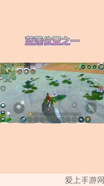 幻塔遗迹B01全攻略，普通宝箱位置大揭秘，助你轻松寻宝！