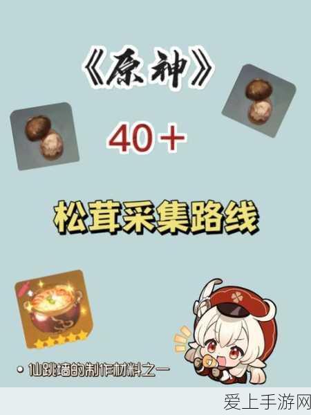 金铲铲之战S11赛季，全面解析卡池数量与阵容策略