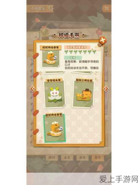 航海王，热血航线深度解析——S级航海员奈美，强度、上手与培养全攻略