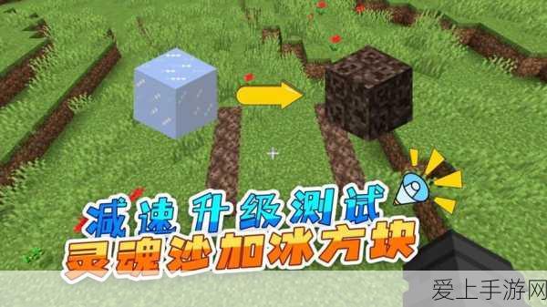 炉石传说新卡揭秘，观星者露娜强度分析与实战应用