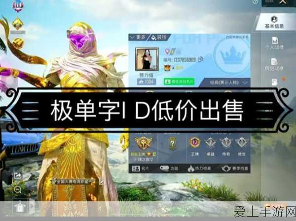稀有探索,和平精英中那些鲜为人知的单字ID宝藏