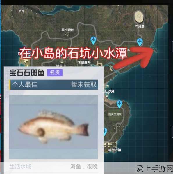 和平精英绿洲世界垂钓大赛攻略,解锁高级钓手秘籍