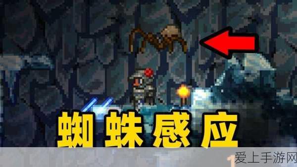 泰拉瑞亚,揭秘蜘蛛宠物获取攻略与全面属性分析