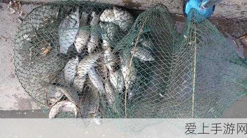 摩尔庄园小龙虾捕获攻略,解锁夏日垂钓乐趣