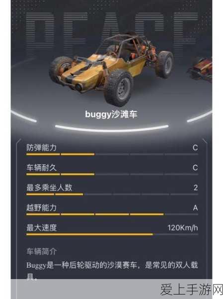 和平精英载具皮肤,投资还是浪费?深度解析与实战应用