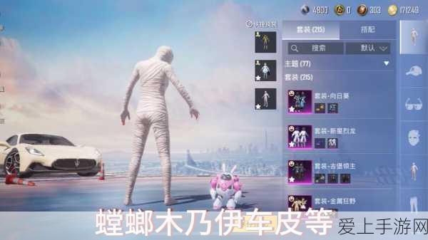 独家揭秘,和平精英GROZA乌木金纹皮肤获取攻略,赛事细节全解析