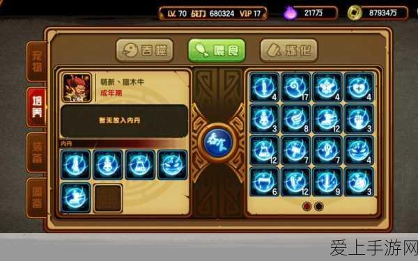 航海王热血航线，全新藏宝图探险活动，揭秘宝藏之谜，即刻启航！