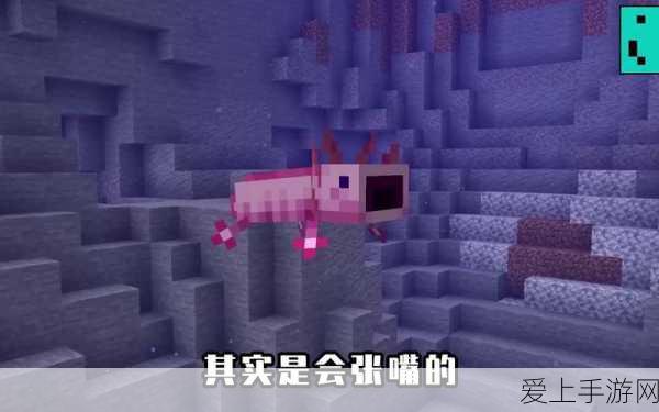 揭秘我的世界,四大鲜为人知的隐藏秘密与技巧