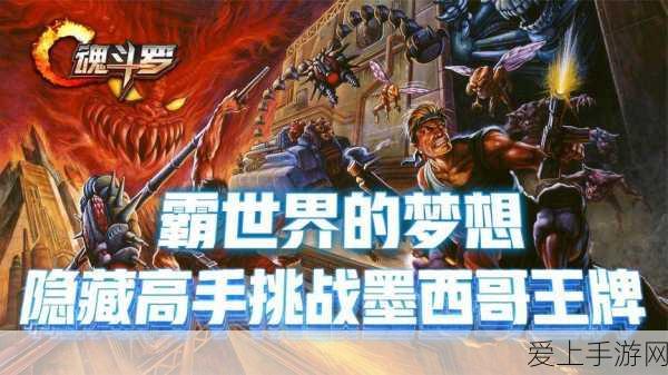 保卫萝卜4深度攻略，揭秘秋妃传第114关极限高分通关策略
