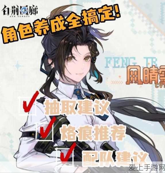 白荆回廊预抽卡攻略,精选角色,赢在起跑线