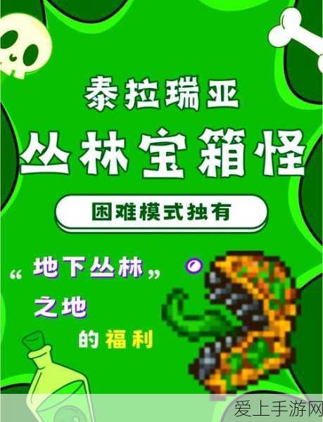 泰拉瑞亚探秘,解锁稀有虾松露坐骑的终极攻略