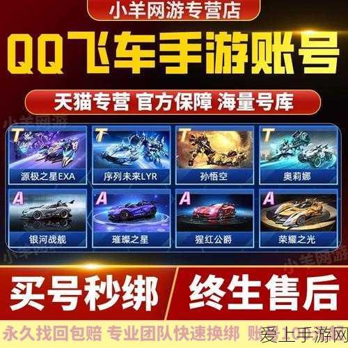 QQ飞车手游,解锁永久T车秘籍与价格全揭秘