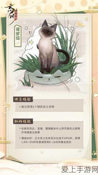 忘川风华录寻喵记,全攻略揭秘,找回走失喵灵不再难!