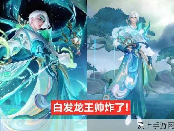 王者荣耀诸葛亮时雨天司皮肤深度评测,特效手感双绝,入手价值几何?