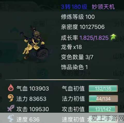 爆裂魔女玛丽深度解析，技能效果与实战应用全揭秘