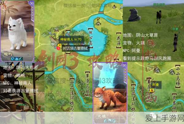剑网3奇遇系统大揭秘，南戈壁挖宝攻略，轻松获取稀有跟宠刀豆