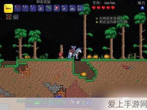 塔瑞斯世界，祭坛试炼点灯秘籍——完美通关指南