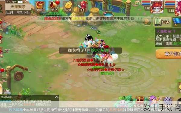 梦幻西游手游,顶尖助战伙伴组合攻略,解锁战斗新境界