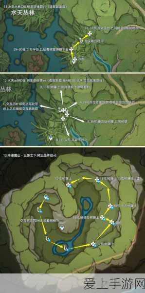 原神玩家必看!树王圣体菇高效采集攻略,独家路线图揭秘