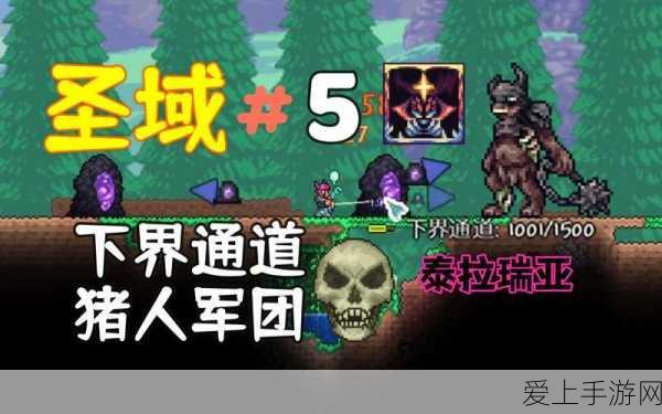 泰拉瑞亚深度攻略,揭秘骷髅王的召唤之道与战斗策略