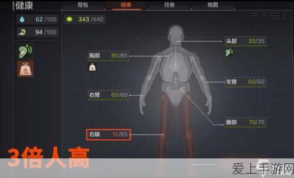 梦幻西游 65 级召唤灵内丹数量之谜大揭秘