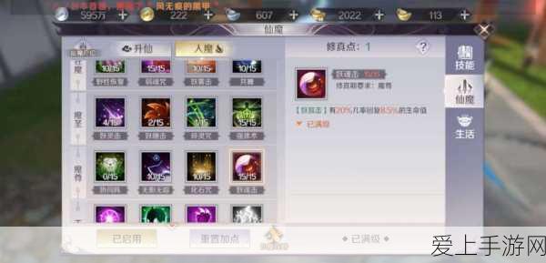 王者荣耀，揭秘！哪款坦克英雄拥有传说级皮肤？