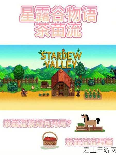星露谷物语,揭秘高效提升金星作物获取率的独门秘籍