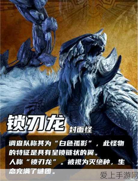怪物猎人崛起,训练场全揭秘,深度探索与实战攻略