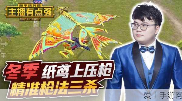 和平精英高手进阶,精准压枪技巧全揭秘,助你赛场夺冠!
