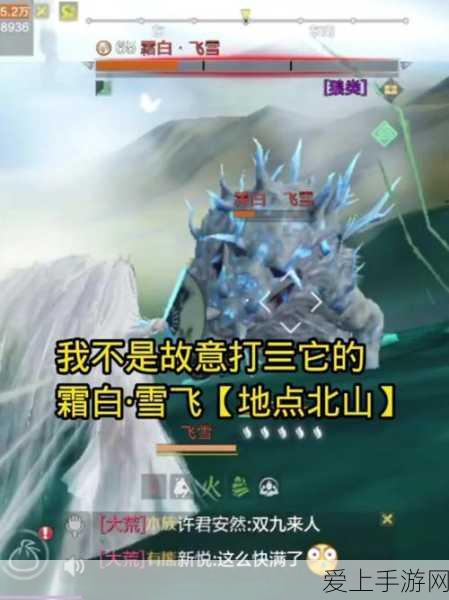 箱庭小偶高效赚钱秘籍，循环流程全解析，助你财富自由！
