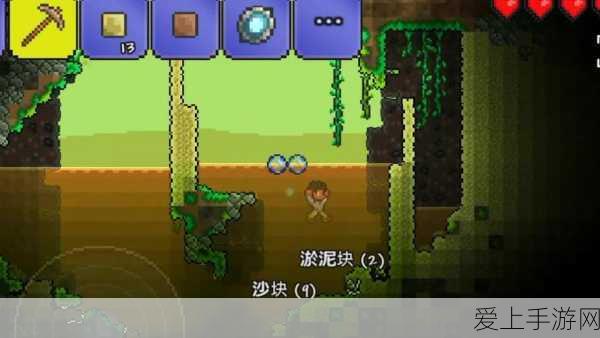 泰拉瑞亚暗影之旅,揭秘暗影之魂的高效获取策略