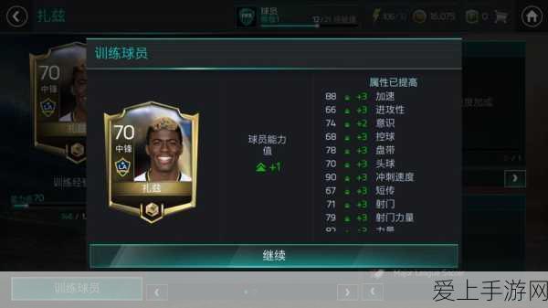 FIFA足球世界,轻松改名,驰骋绿茵新身份指南
