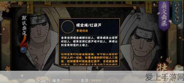 火影忍者手游深度攻略,金角银角实战技巧与全技能剖析