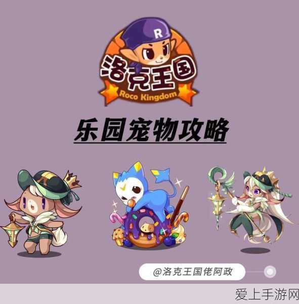 洛克王国珍稀宠物获取攻略,怨念魔鱼、乐动精灵与雪影娃娃大揭秘