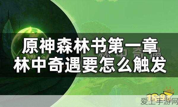 梦幻模拟战，开局肉盾主角大揭秘，谁才是最强守护者？
