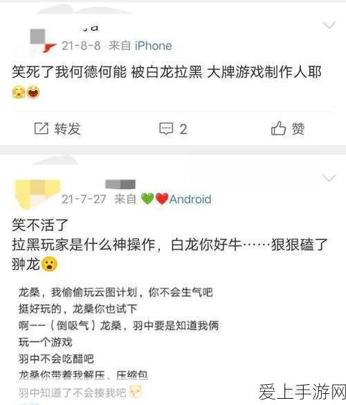 第五人格账号失而复得秘籍，全方位找回攻略指南